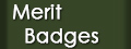 Merit Badges